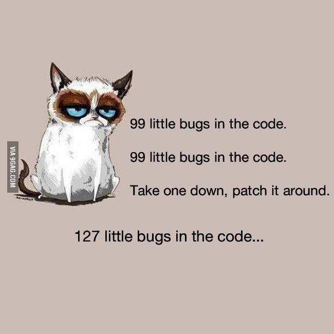 Grumpy Cat and coding